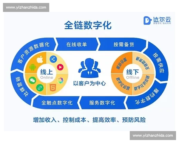 足球行业品牌管理创新发展路径研究与实践探索数字化转型与竞争力提升